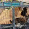 Sharon Trost-Froger - @sharon.trostfroge - TikTok