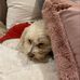 Sharon Trotman - Facebook