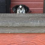 Sharon Trott - @sharon.trott - Instagram