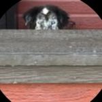 Sharon Trott - @sharon.trott6 - Instagram