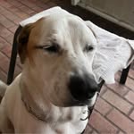 Sharon Trudeau Adams - @filbertsmom - Instagram