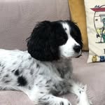 Sharon Truman - @sharon.truman.7 - Instagram