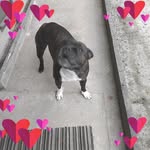 Sharon Tully - @sharon.tully.984 - Instagram