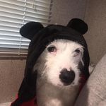Sharon Tumbleson - @tumbleson4049 - Instagram