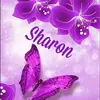 sharonstumble - @sharonstumble - TikTok
