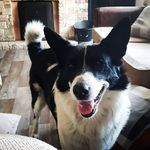 Sharon Tuohy - @sharonsoden - Instagram