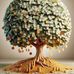 Duch Saron - Facebook