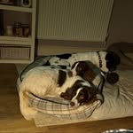 Sharon Twigg - @sharon.twigg75 - Instagram