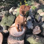Sharon Twigg - @sharon.twigg2 - Instagram