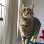 Sharon Twigg - @sharon_x82 - Instagram