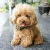 Sharon Tyrell - Facebook