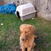 Sharon Ulrich - Facebook