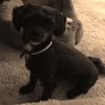 Sharon Updegraff - @upde70 - Instagram