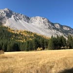 Sharon Lutz - @sharon.lutz.5 - Instagram