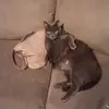 sharonlutz14 - @sharonlutz14 - TikTok