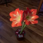 Sharon VanBuskirk - @sharon.vanbuskirk - Instagram