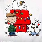 Sharon Wenzel Van Buskirk - @sharonvanbuskirk - Instagram