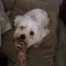 Sharon Vanderpool - Facebook