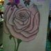 Sharon Vankirk - Facebook