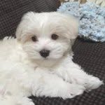 Sharon Van Meter - @slv4358 - Instagram