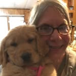 Sharon van Meter - @sharon.vanmeter.3 - Instagram