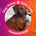Sharon Van Meter - Facebook