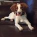 Sharon Booker Veach - Facebook