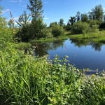 Sharon Vesper - @sharonvesper - Instagram