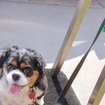 Sharon Joy Hyke Vieth - @pigtails65 - Instagram