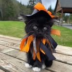 Sharon Viken - Facebook
