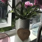 Sharon Vine - Facebook