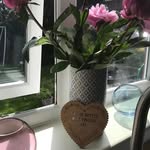 Sharon Vine - @sharon.vine.587 - Instagram