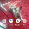 Sharron Vine - @sharron.vine - TikTok