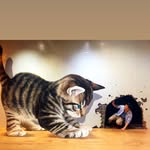 Shunta Yamazaki - @sharonvineyard - Instagram
