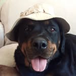 Sharon Visser - @shazzy_040166 - Instagram