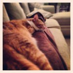 Sharon Visser Conklin - @sharonconklin - Instagram