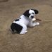 Sharon Biber - Facebook
