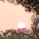 Sharon Voigt - @sharonv42158 - Instagram
