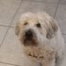 Sharon Voigt - Facebook