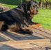 Sharon Voss - Facebook