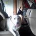 Sharon Wagoner - Facebook
