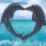 Sharon Wagoner - @sharon.wagoner.73 - Instagram