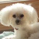Sharon Wakely Keith - @swk20072023 - Instagram