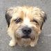 Sharon Wakeman - Facebook