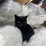Sharon Alison-Preece - @sharon.waldron.5 - Instagram