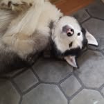 Sharon Walden - @sharon.walden.395 - Instagram
