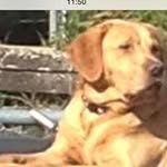 Sharon Waldock - @sharonwaldock - Instagram