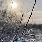 Sharon Waldner - @sharlynnta - Instagram