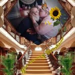 Sharon Waldner - @purplerose57350 - Instagram