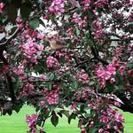 waldner sharon - @waldnersharon - Instagram